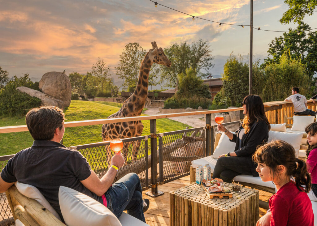 ZoomTorino_Savana Terrace