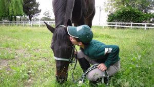 cavallo veneto bambini passeggiate