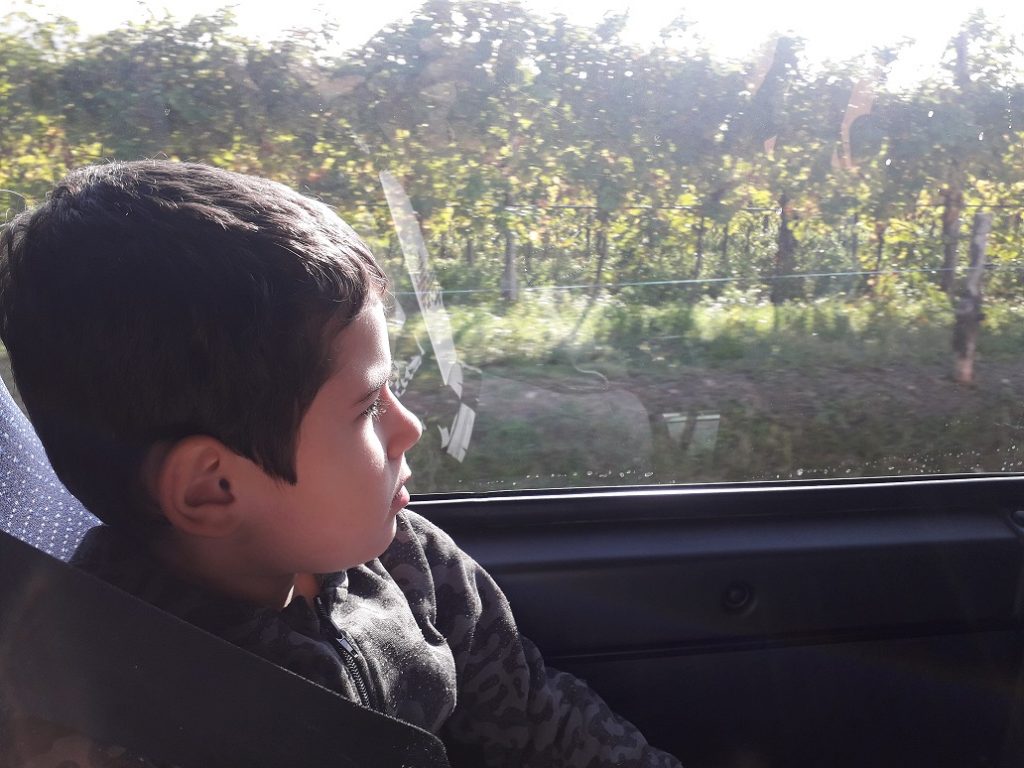 tour colli euganei con bambini gal patavino famiglie