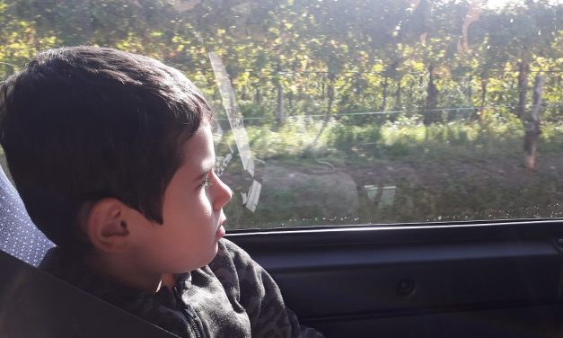 tour colli euganei con bambini gal patavino famiglie