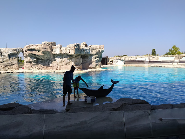 oltremare riccione delfini spettacolo didattico per bambini