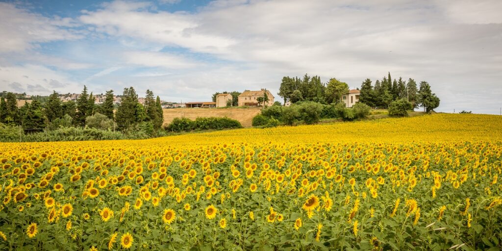 marche con i bambini cosa vedere