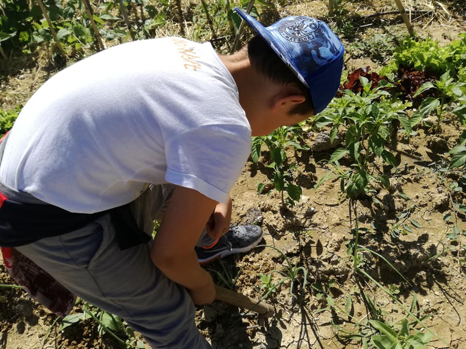 fattoria didattica abruzzo la ripaia 2