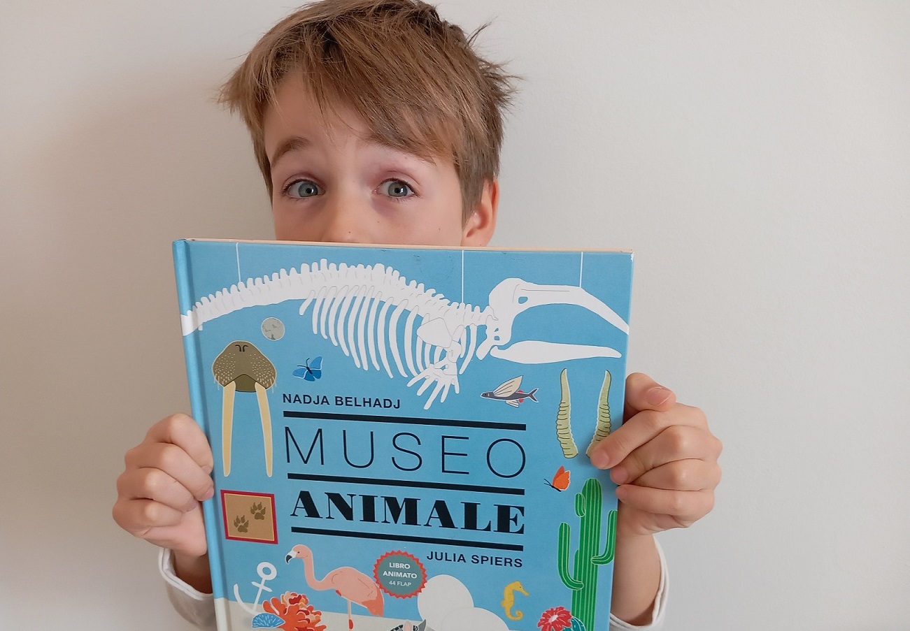 museo animale libro consigliato per bambini - Copia