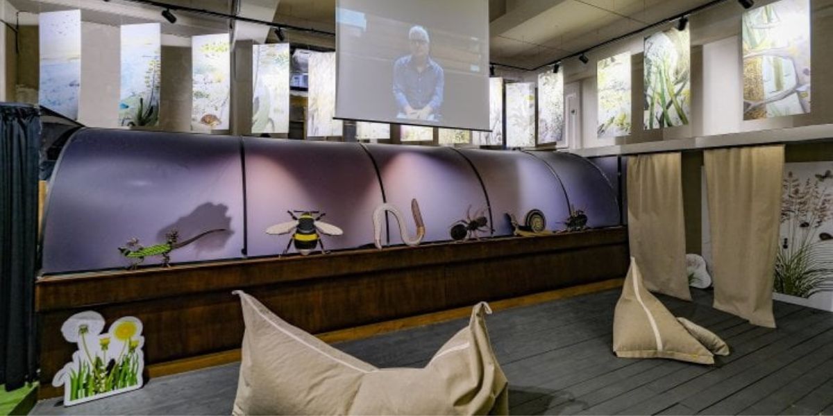 museo radici museo radici