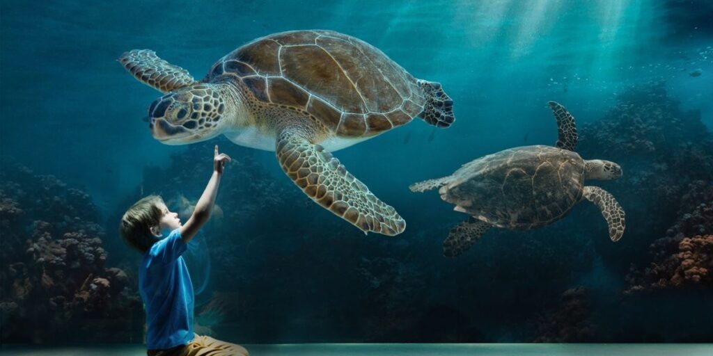 acquario di livorno - cosa fare in toscana coi bambini quando piove