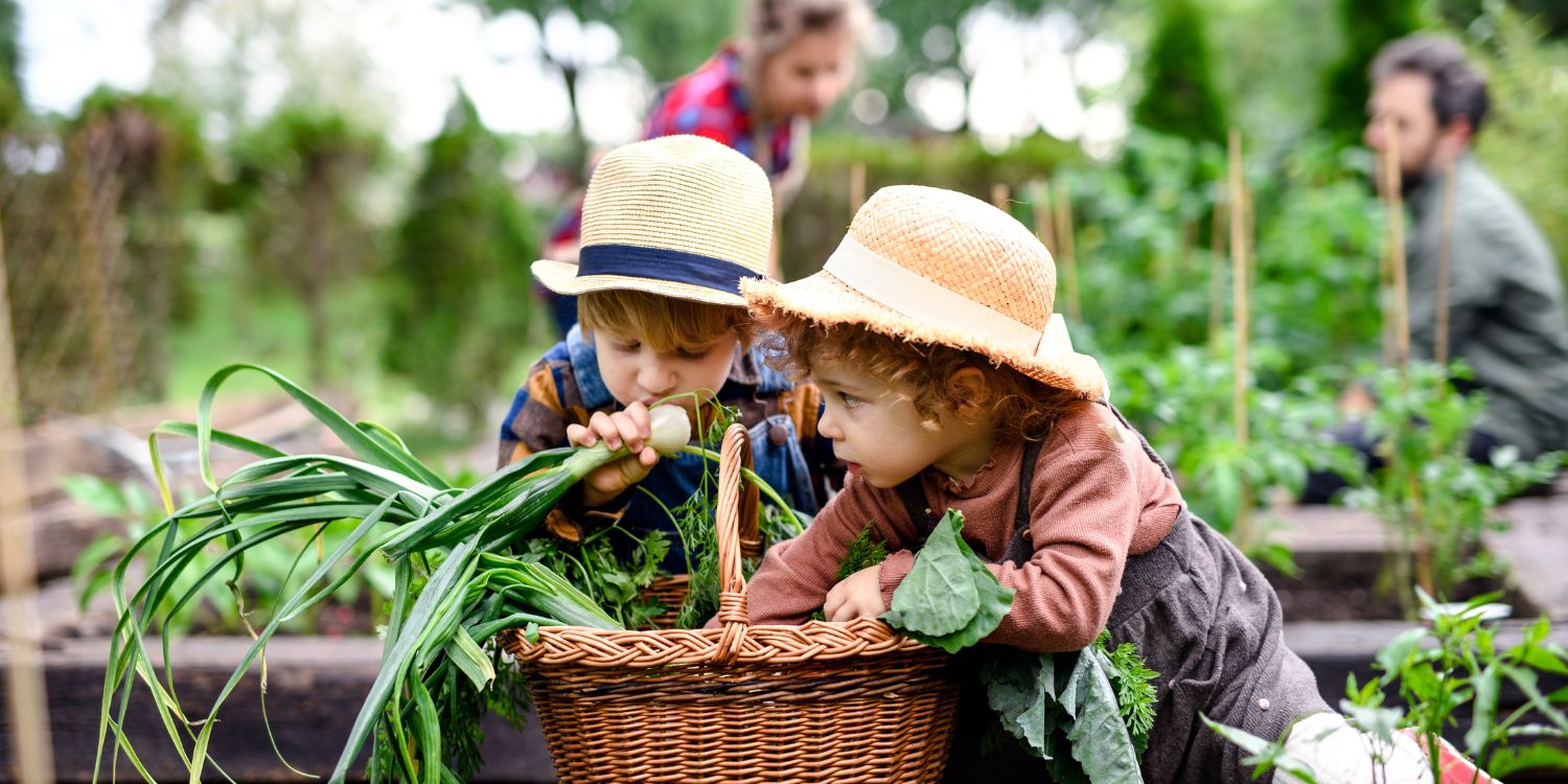 Coltivare un orto con i bambini