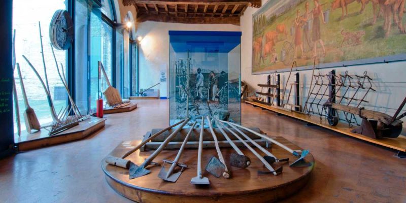 Museo dell’Agricoltura e del Mondo Rurale