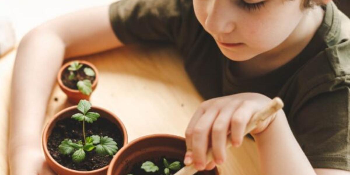 Come fare un orto sul balcone con i bambini Come fare un orto sul balcone con i bambini
