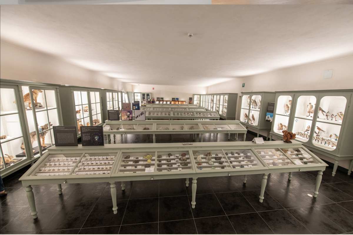 Palazzo dei Musei - Pinacoteca di Varallo e Museo Calderini