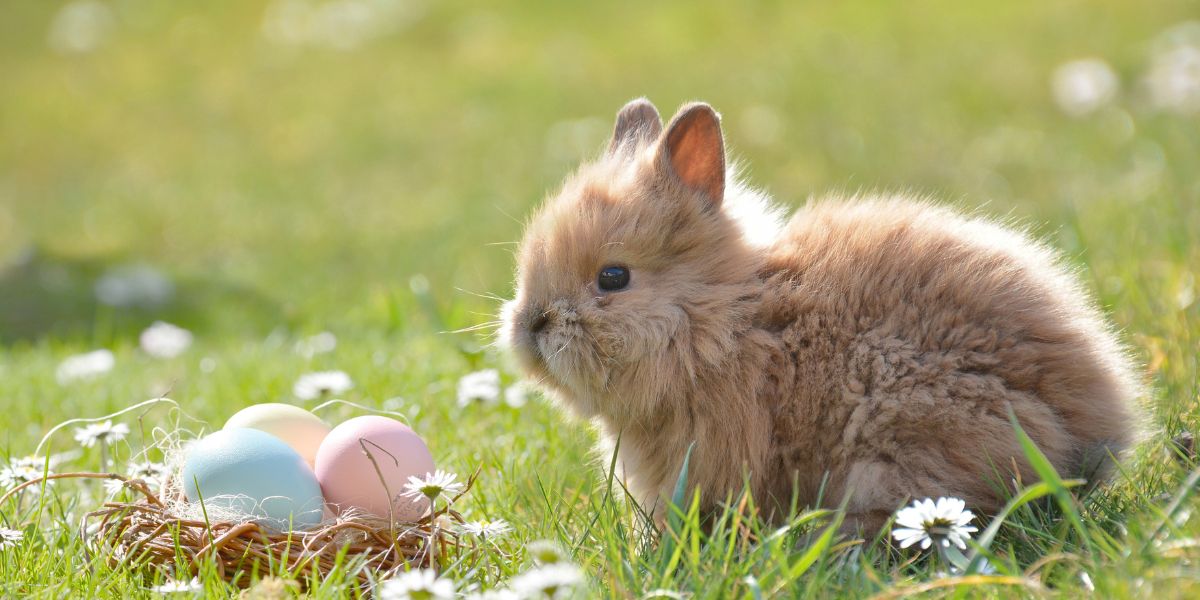 Uova di Pasqua alternative per bambini idee creative e utili