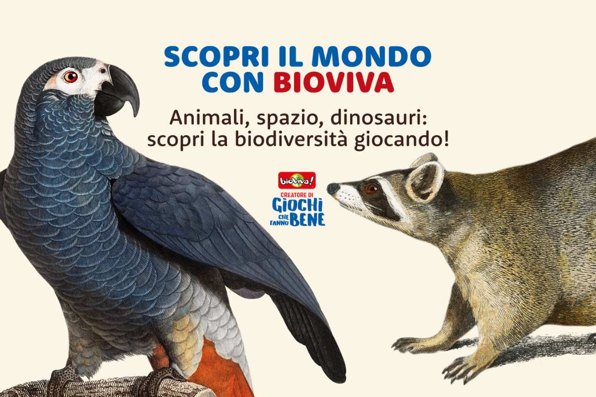 città del sole kid pass days Bioviva (1) città del sole kid pass days Bioviva