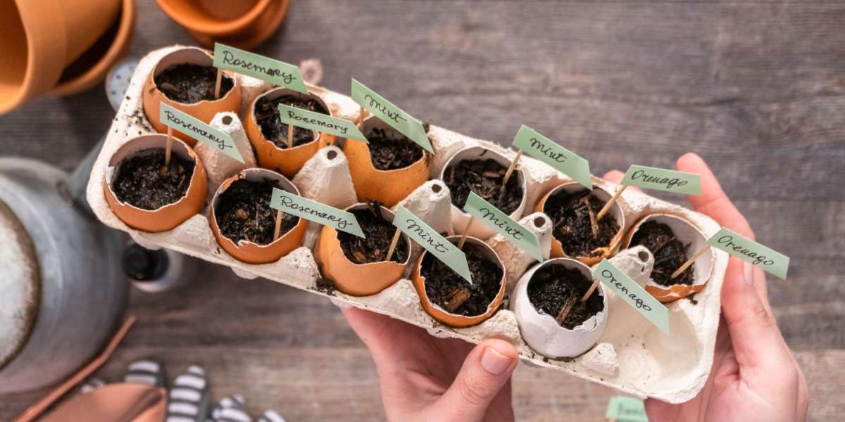 uova di pasqua da piantare