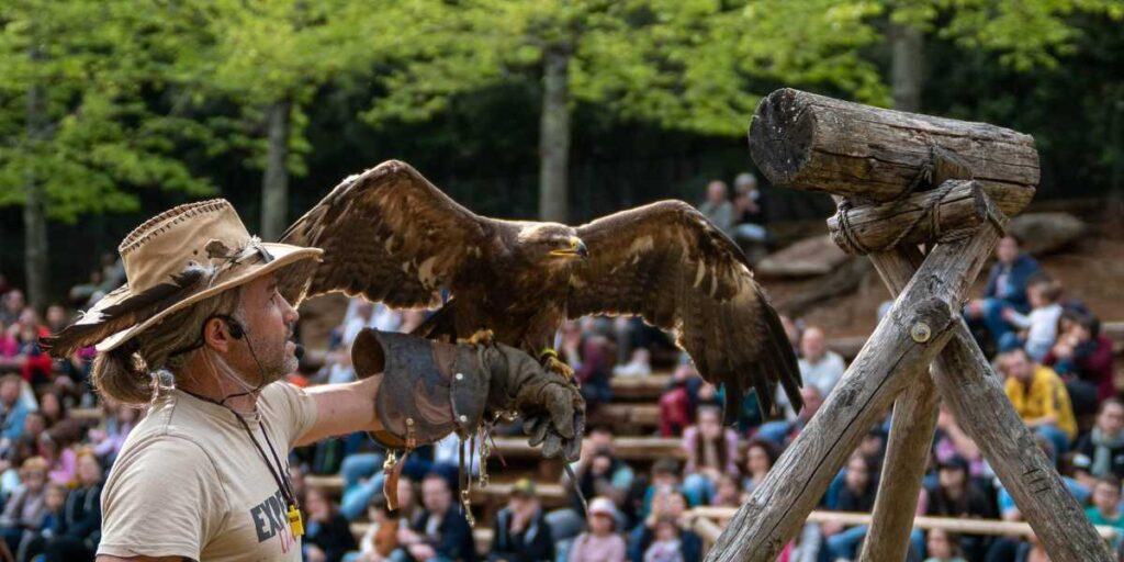 Città della Domenica family park falconeria
