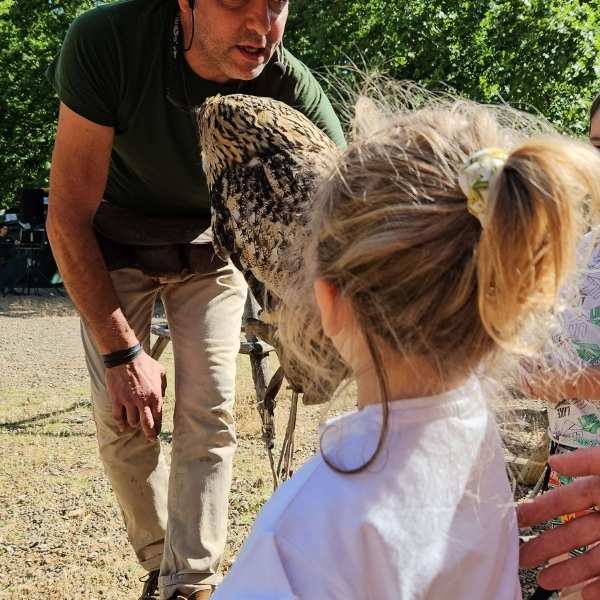 Città della Domenica parco perugia spettacolo falconeria Città della Domenica parco perugia spettacolo falconeria