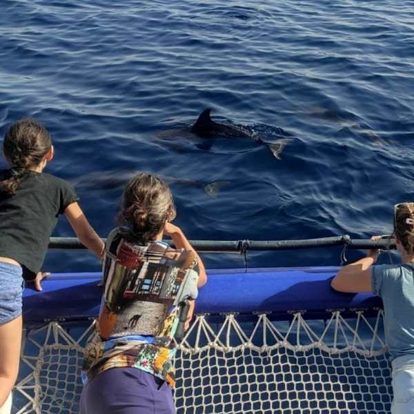 Puglia esperienze con bambini Jonian Dolphin Conservation, Puglia esperienze con bambini Jonian Dolphin Conservation,