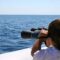 Vacanze in Puglia con i bambini? 10 esperienze wow