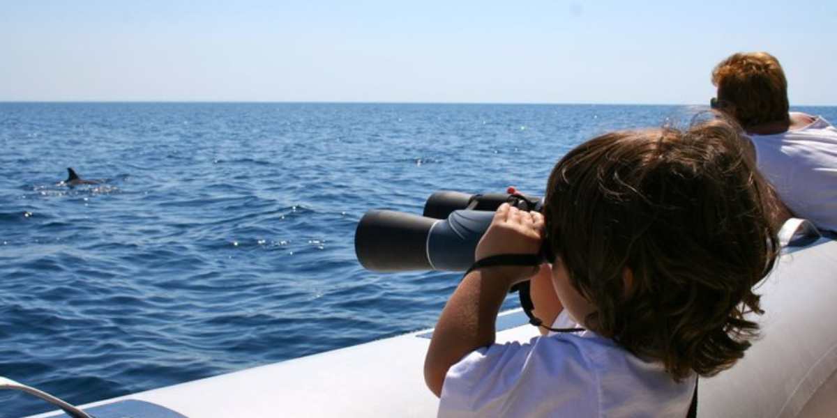 Puglia esperienze con bambini delfini taranto Jonian Dolphin Conservation (1)